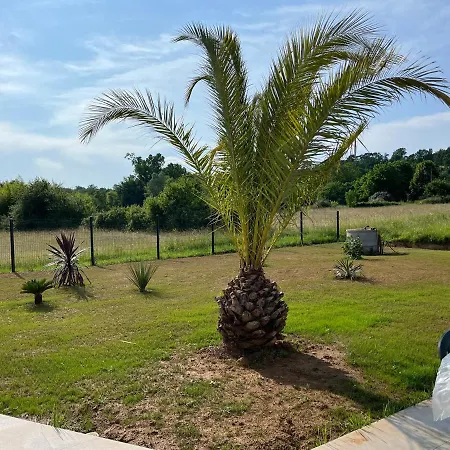 Double -vue Sur Jardin